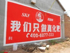 德安刷墙广告”蕴含了时代命题