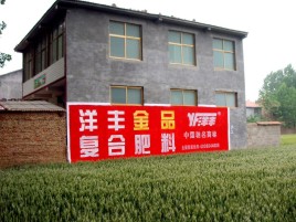 德安如何让墙体广告展现最大化效果