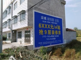 德安墙体广告质量分析