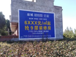 德安品牌公司青睐的墙体广告