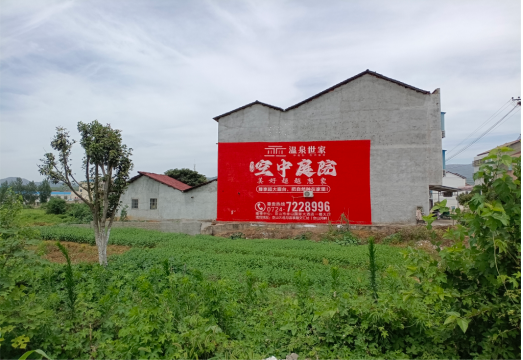 德安做墙体广告的意义