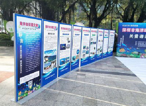 德安KT板的种类和知识。